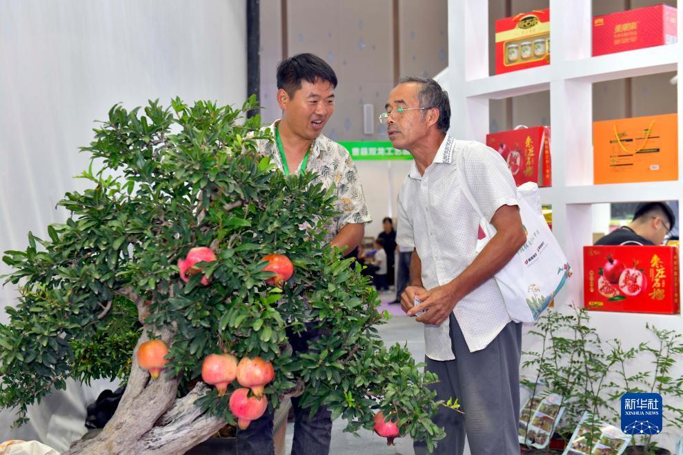 捕鱼达人2